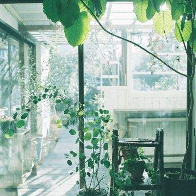 开元ky7818老版本app下载