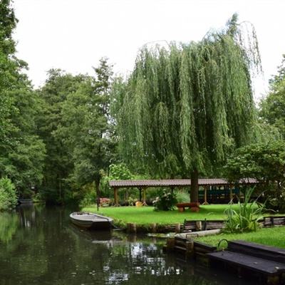 BOB博鱼·体育官网入口